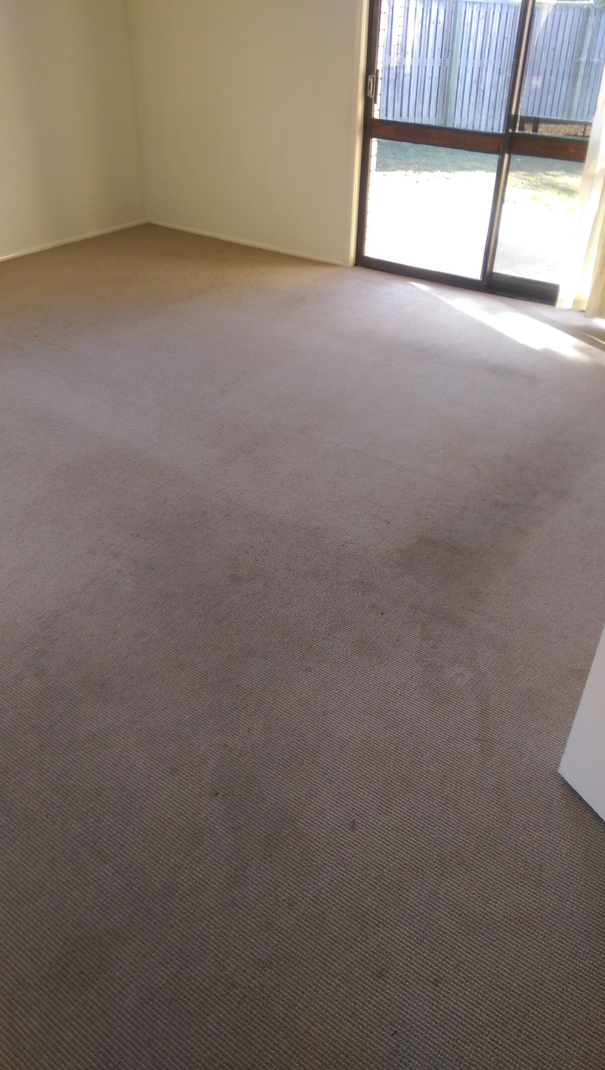 Brisbane Carpet odour removal